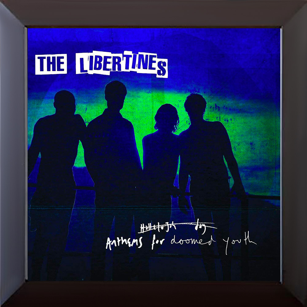 Anthems For Doomed Youth The Libertines (vinyle neuf) - up
